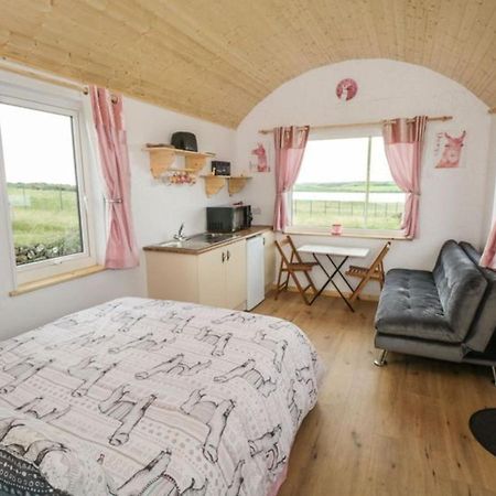 The Beautiful Lazy Llama Shepherd Hut Farm Stay Ballyshannon Eksteriør billede