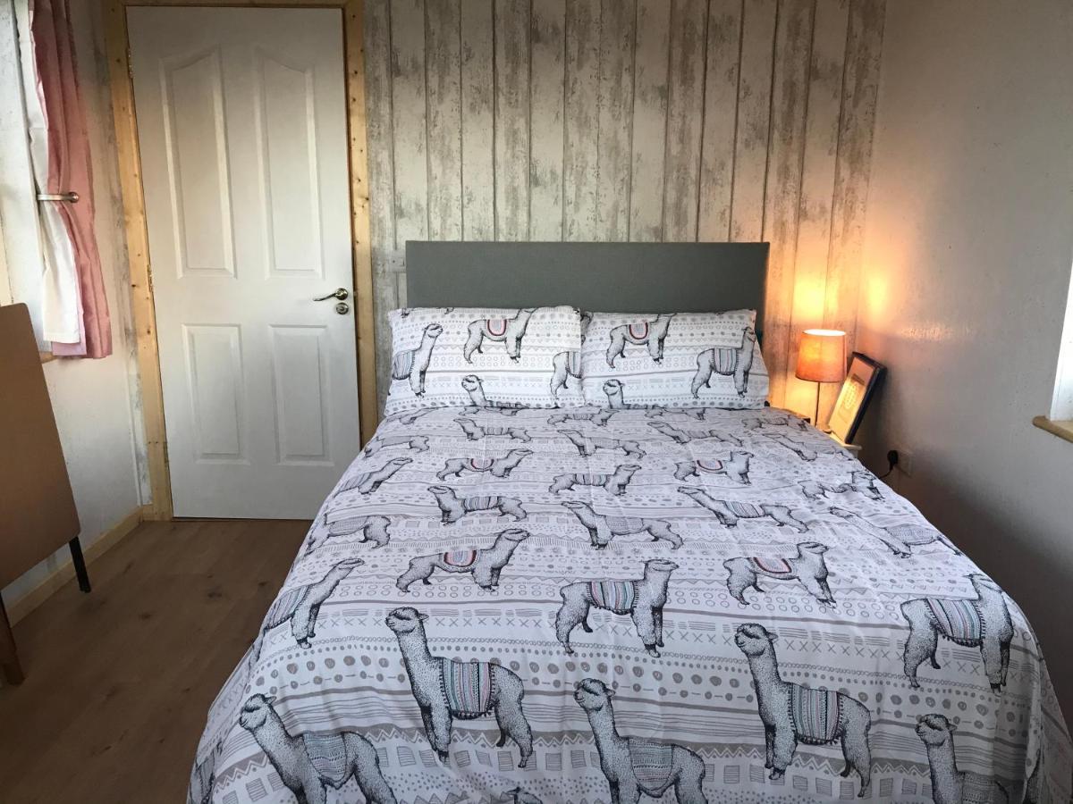 The Beautiful Lazy Llama Shepherd Hut Farm Stay Ballyshannon Eksteriør billede