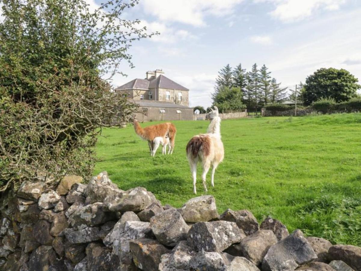 The Beautiful Lazy Llama Shepherd Hut Farm Stay Ballyshannon Eksteriør billede