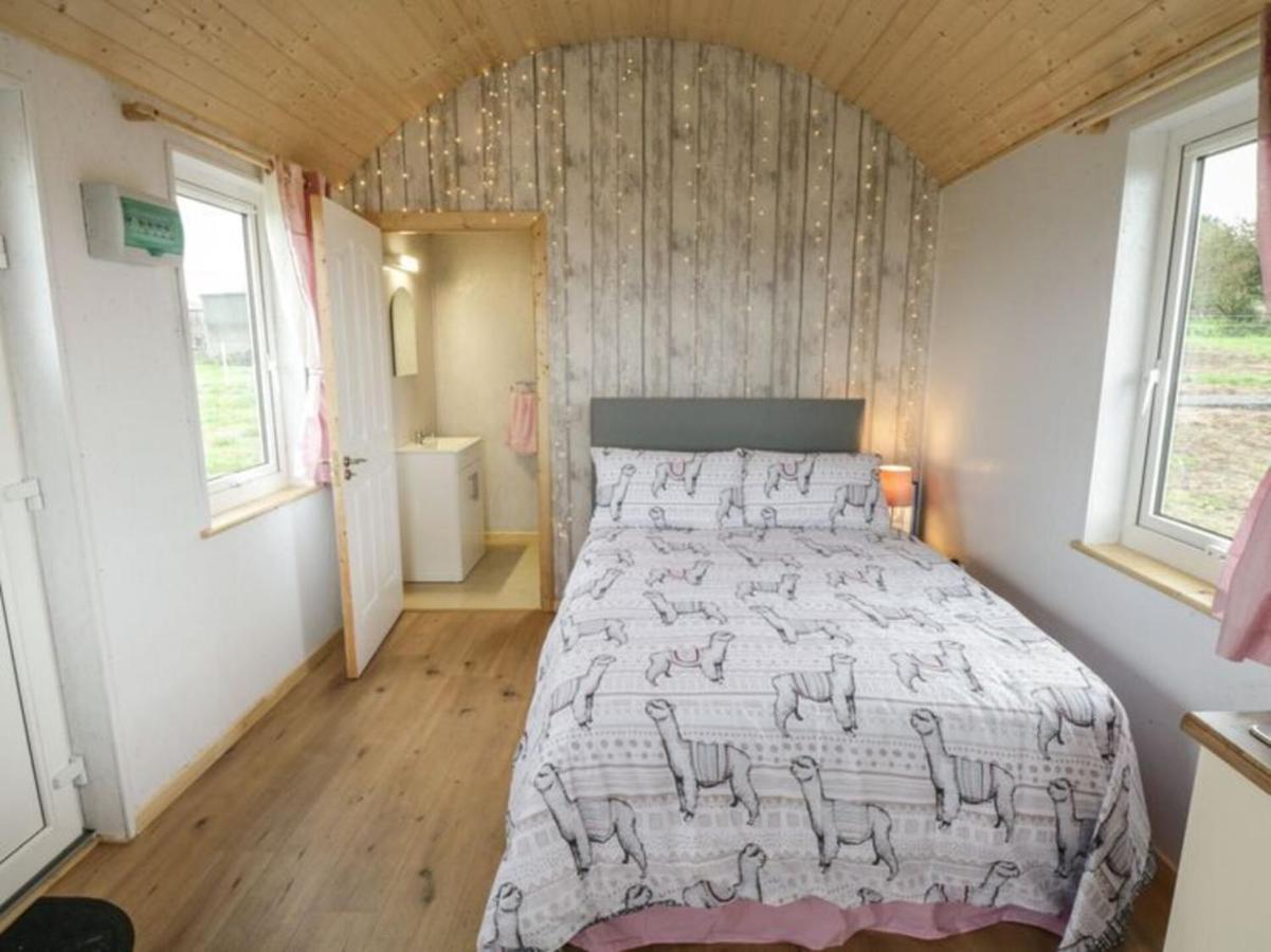 The Beautiful Lazy Llama Shepherd Hut Farm Stay Ballyshannon Eksteriør billede