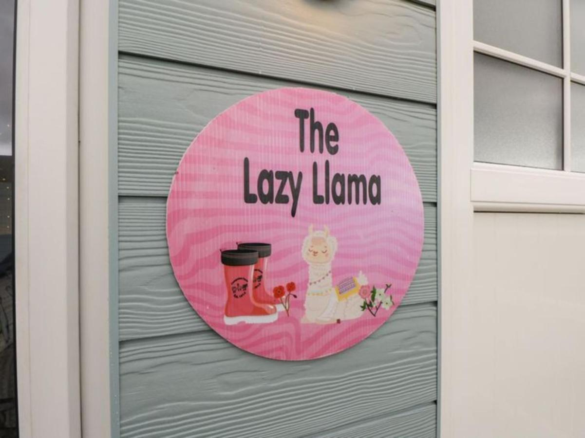 The Beautiful Lazy Llama Shepherd Hut Farm Stay Ballyshannon Eksteriør billede