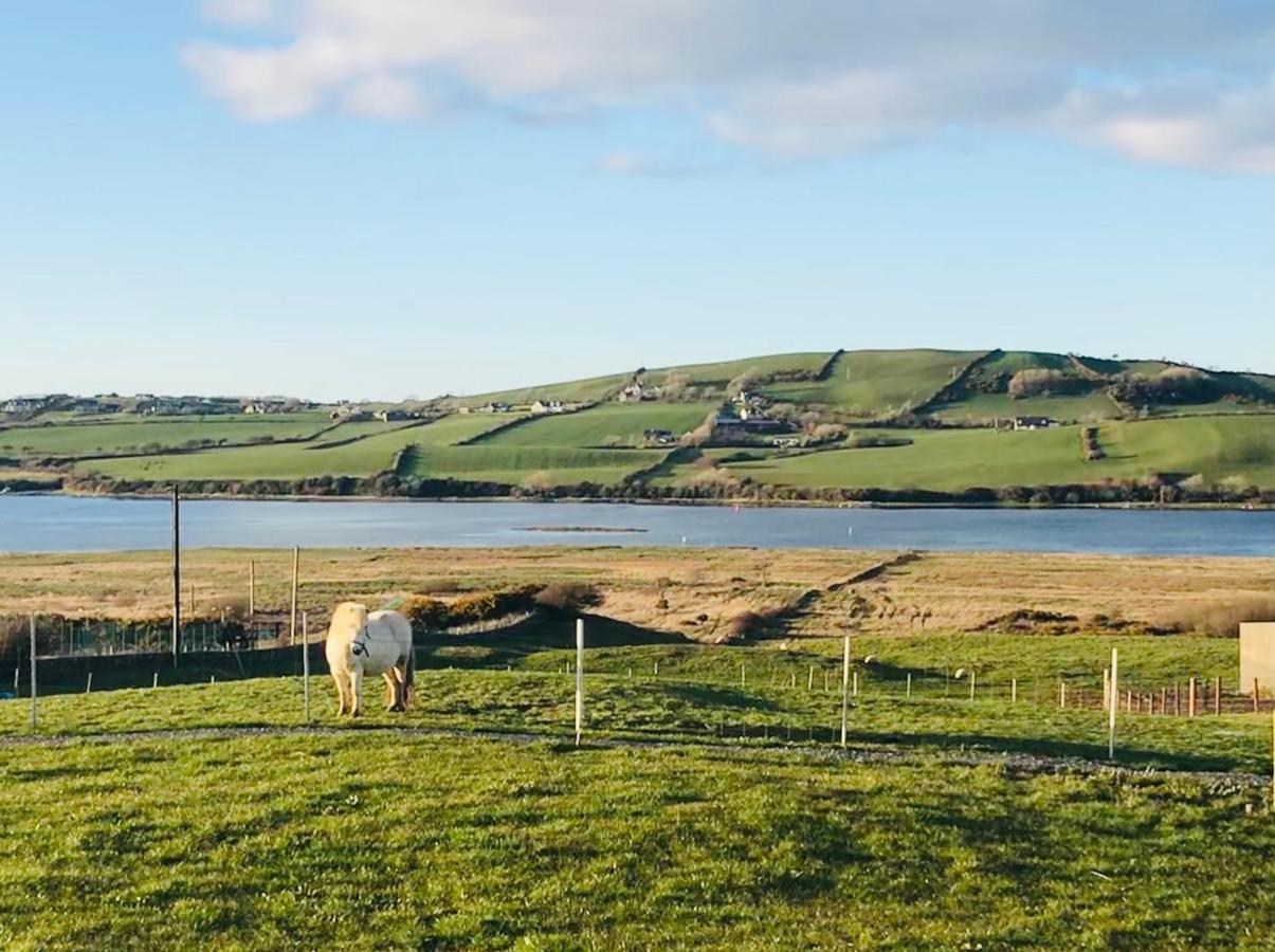 The Beautiful Lazy Llama Shepherd Hut Farm Stay Ballyshannon Eksteriør billede