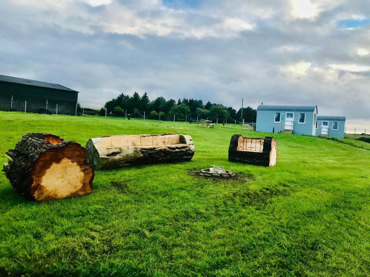 The Beautiful Lazy Llama Shepherd Hut Farm Stay Ballyshannon Eksteriør billede