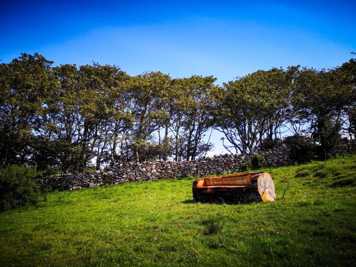 The Beautiful Lazy Llama Shepherd Hut Farm Stay Ballyshannon Eksteriør billede