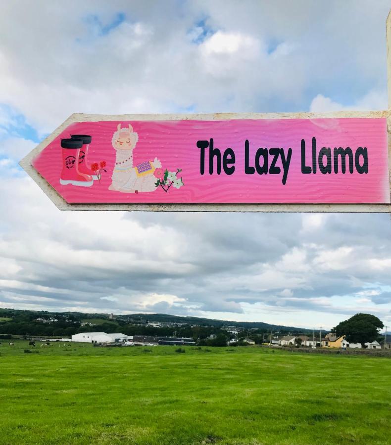 The Beautiful Lazy Llama Shepherd Hut Farm Stay Ballyshannon Eksteriør billede