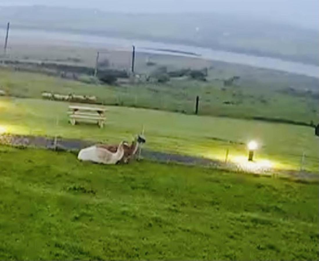 The Beautiful Lazy Llama Shepherd Hut Farm Stay Ballyshannon Eksteriør billede