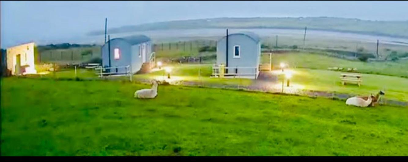 The Beautiful Lazy Llama Shepherd Hut Farm Stay Ballyshannon Eksteriør billede