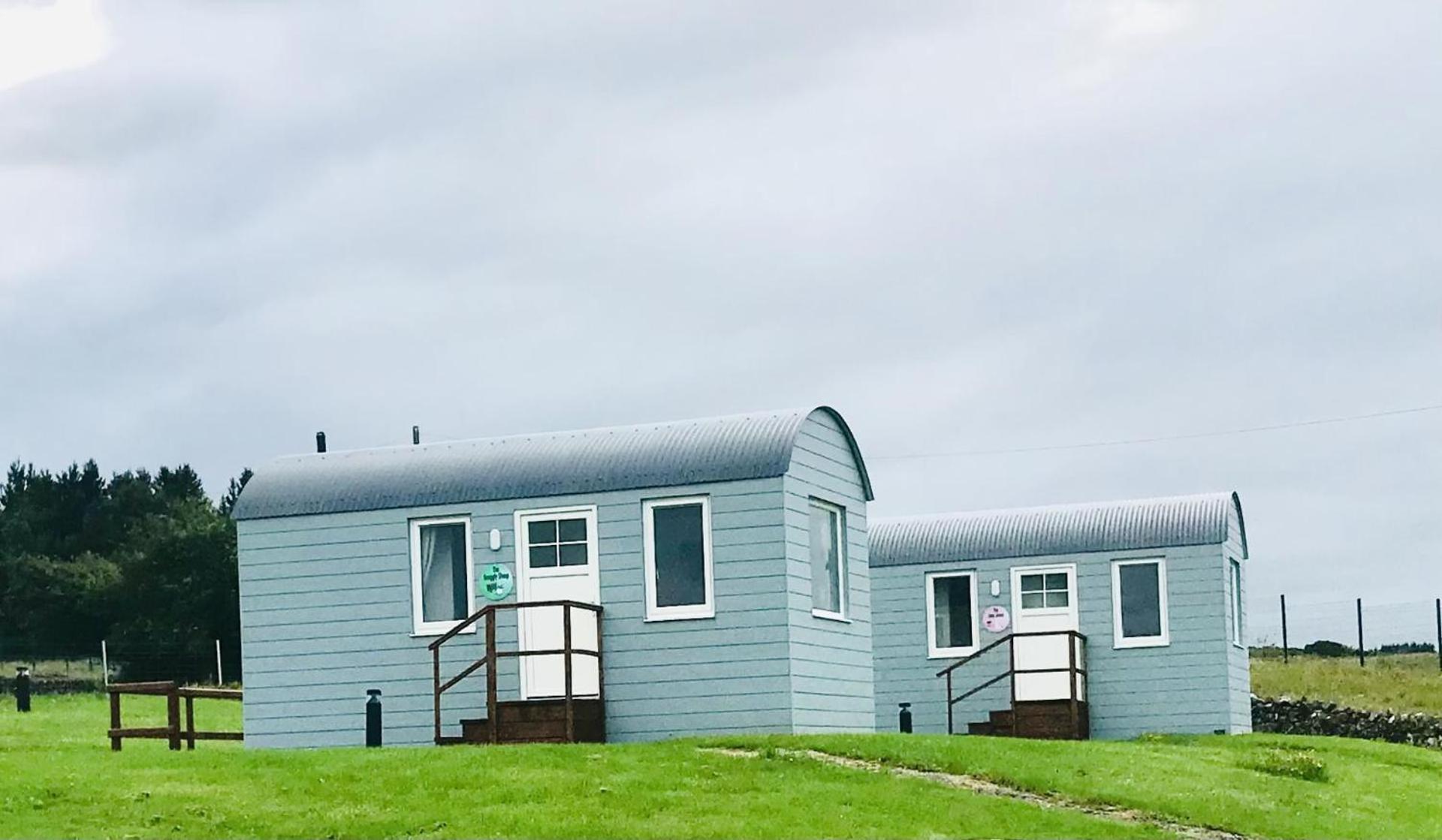 The Beautiful Lazy Llama Shepherd Hut Farm Stay Ballyshannon Eksteriør billede